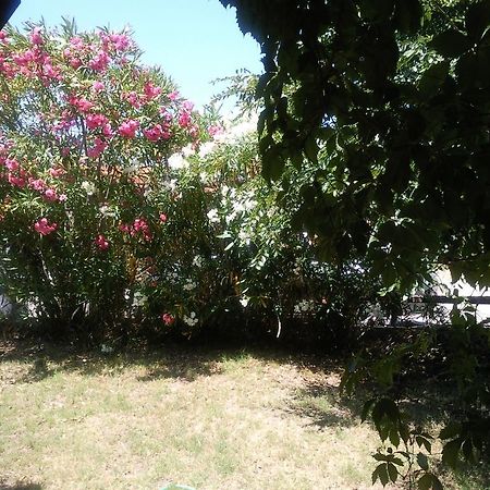 Monolocale San Teodoro Apartment ซาน เตโอโดโร ห้อง รูปภาพ
