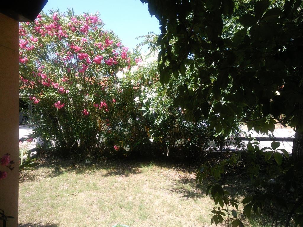 Monolocale San Teodoro Apartment ซาน เตโอโดโร ห้อง รูปภาพ